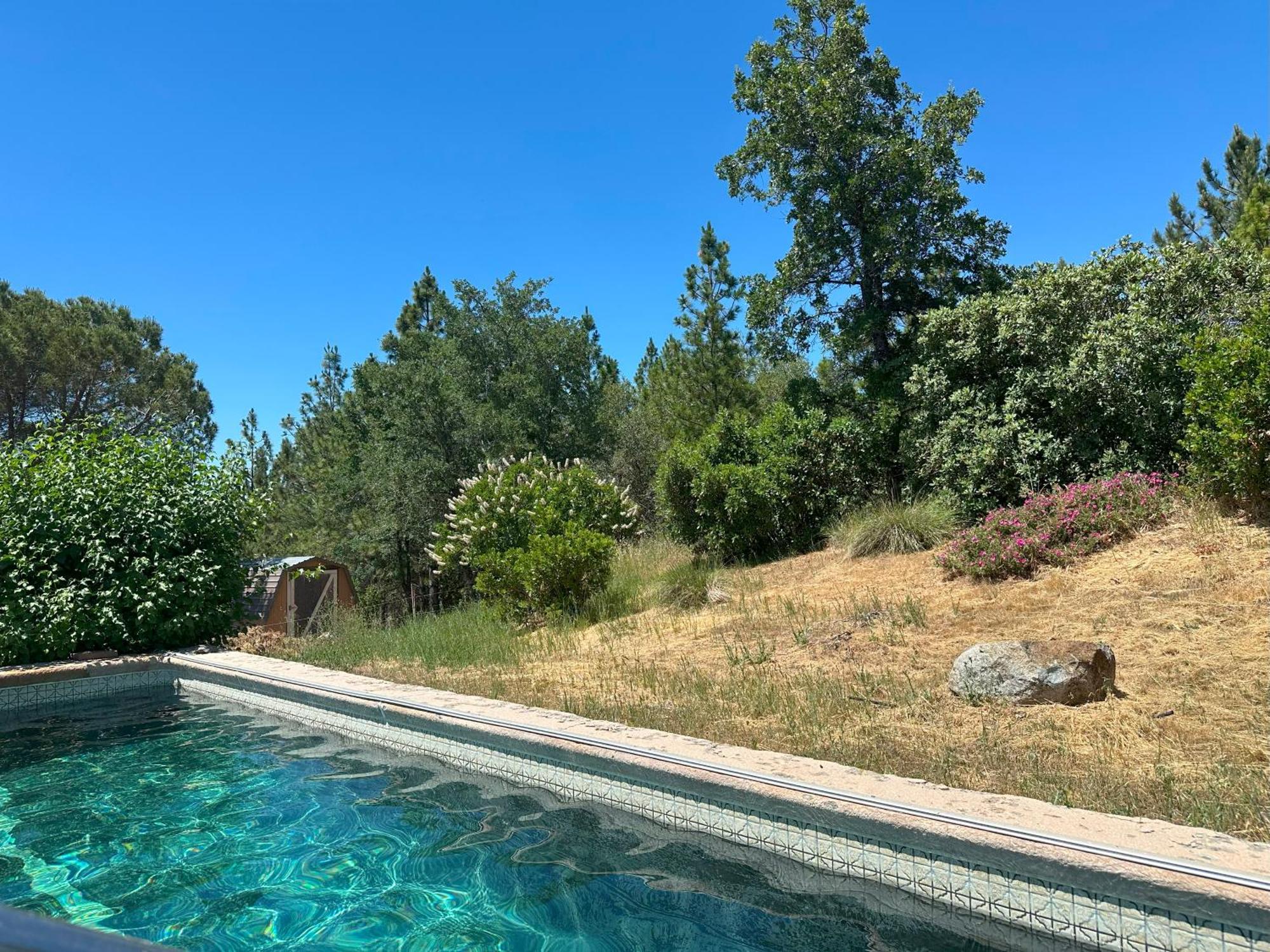 Priest Station Cafe & Cabins Groveland Εξωτερικό φωτογραφία